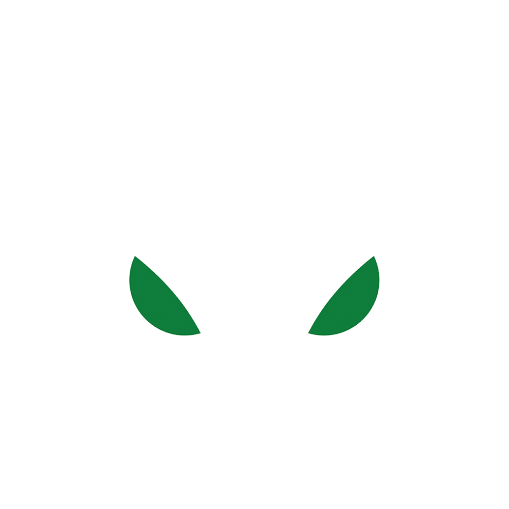 usnighthawk Logo