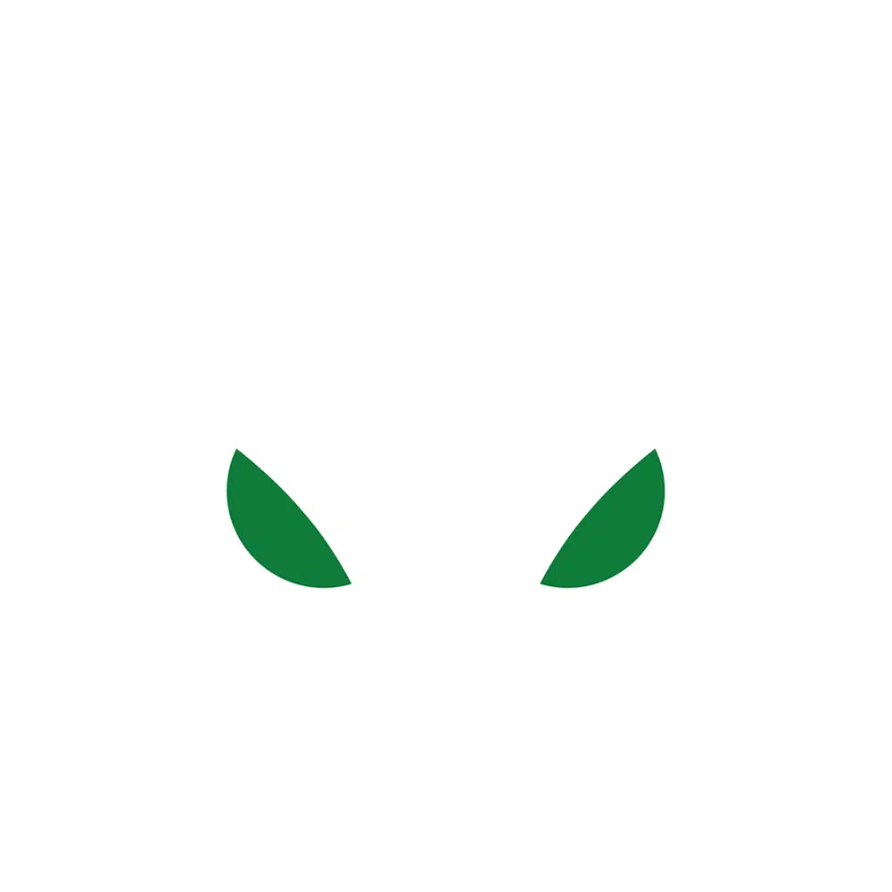 usnighthawk Logo