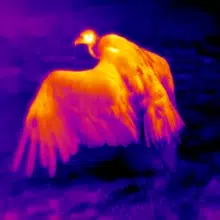 Night Vision Monocular 384×288 High-Resolution Thermal Imager Scope 16X Digital Zoom Sight Camera with 6 Color Palette for Hunting Night Vision