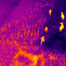 رؤية ليلية أحادية العين 384 × 288 نطاق تصوير حراري عالي الدقة 16X كاميرا تكبير رقمية مع 6 لوحة ألوان للرؤية الليلية للصيد