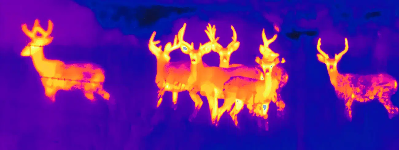 thermal and infrared imaging
