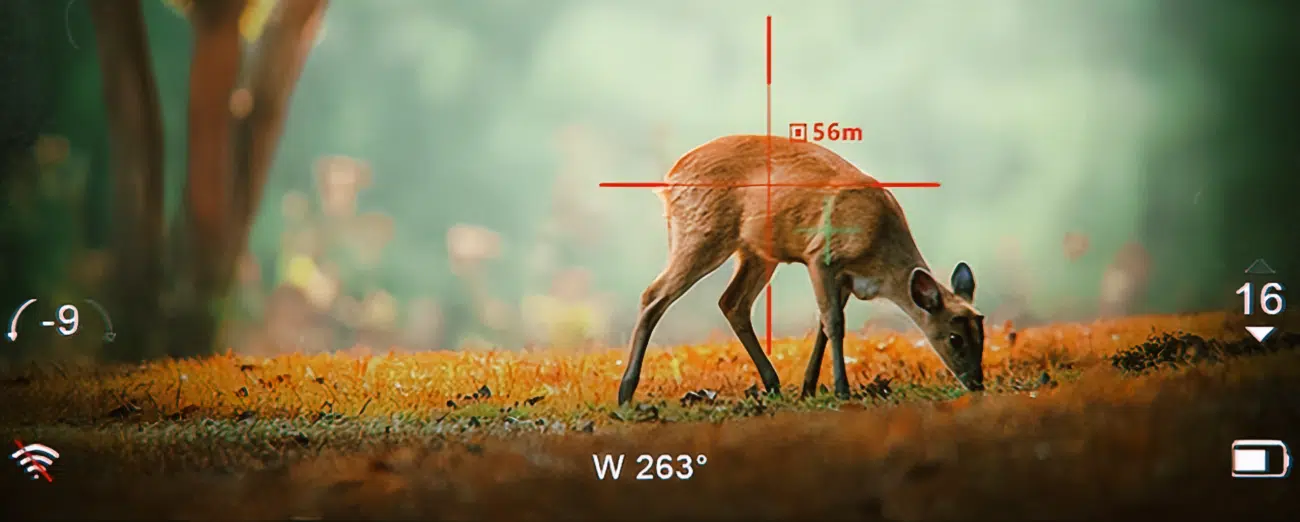 thermal and infrared imaging