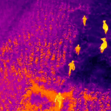 Óculos de termografia