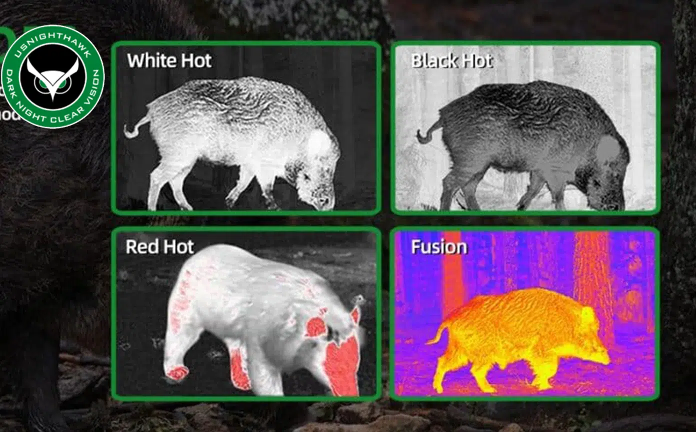 Night Vision themral image