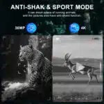 Infrared Night Vision