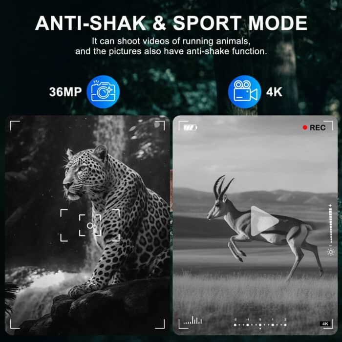 Infrared Night Vision
