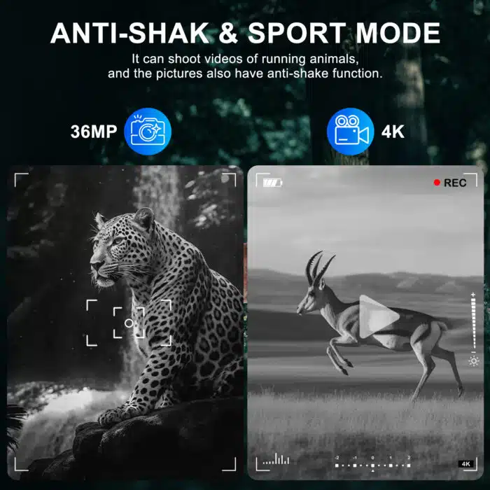 Infrared Night Vision
